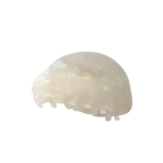 Irregular Shape Hair Claw in Opal